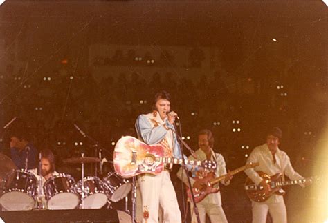 Sex Pistols Our Daily Elvis