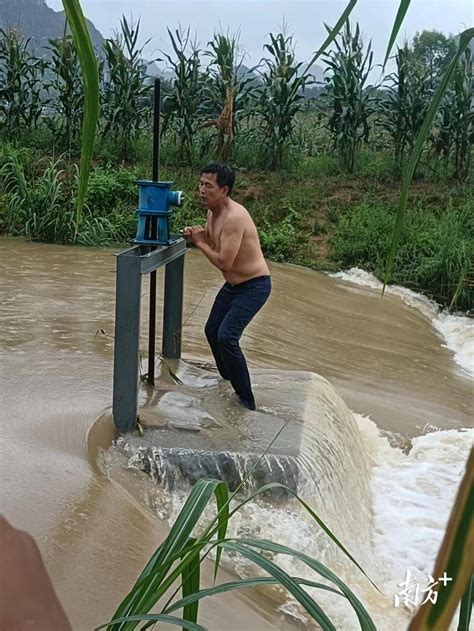 点赞！为避免农作物被淹，英德这名支书逆水而上拉开泄洪闸农田水利渠网村民