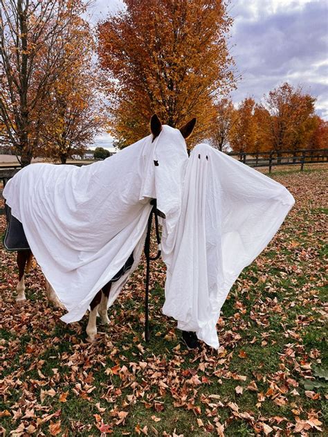 Horse Halloween Costume | Horse halloween costumes, Horse halloween ...