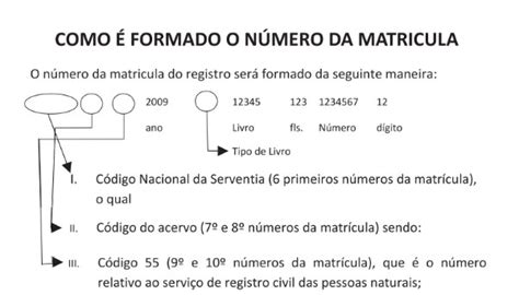 Matricula Certidao De Nascimento