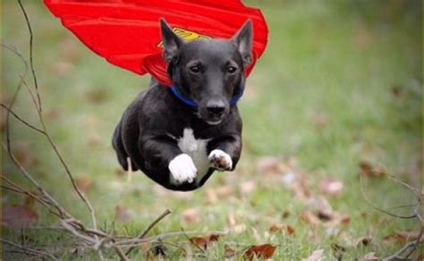 Супер нохой