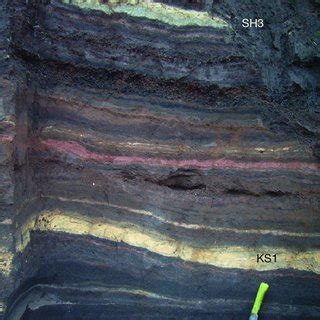 Regional distribution of tephra from the Thera eruption (shaded area ...