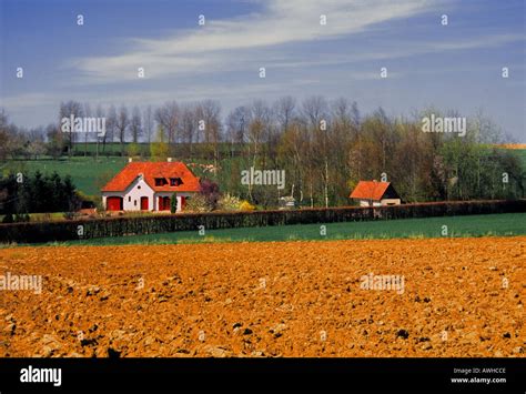 Agincourt Azincourt Battle France Hi Res Stock Photography And Images