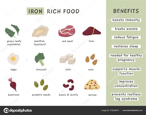 iron rich food sources benefits infographic poster nutritionist dietetic organic stock vector