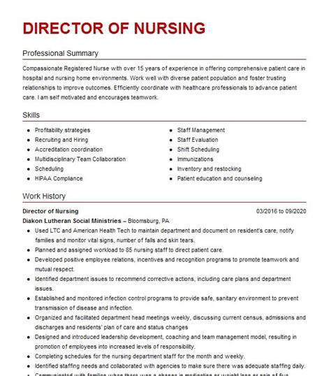 Director Of Nursing Resume Example