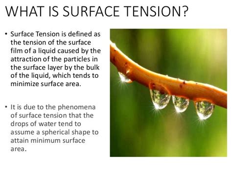 Measurement of surface tension