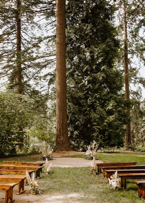 Hoyt Arboretum Weddings Redwoods Portland Wedding Venue Portland Or