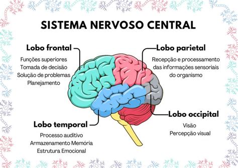Sobre O Sistema Nervoso Central É Correto Afirmar - Sistema nervoso central | Imagens do sistema nervoso, Mapa mental ...