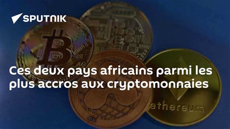 Ces Deux Pays Africains Parmi Les Plus Accros Aux Cryptomonnaies 07