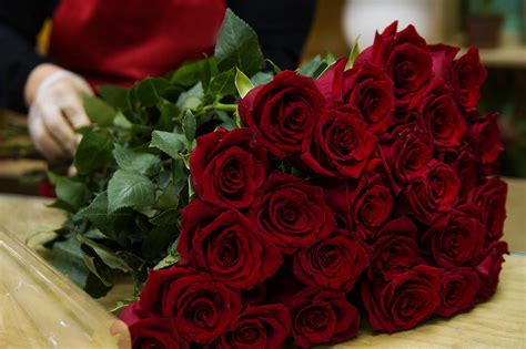 Самые красивые цветы для девушки (100 фото) 🔥 BipBap.ru
