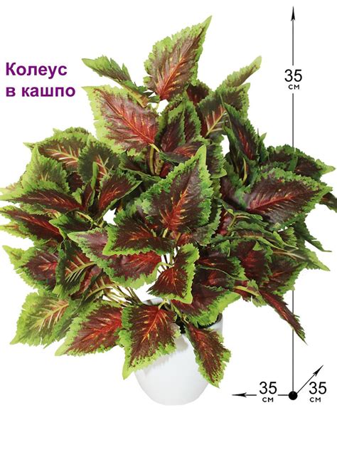 Купить Искусственное растение Колеус в кашпо, ФитоПарк по выгодной цене ...
