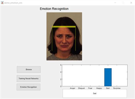 Facial Emotion Recognition Using Deep Learning Matlab