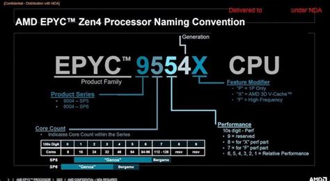 Aparecen Listadas Las Cpus Amd Epyc 9004 Genoa X Y Bergamo La Epyc