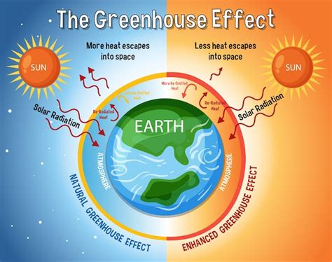Premium Vector | Diagram showing the greenhouse effect