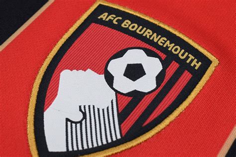 Tottenham Are Interested In Signing Two Players From Bournemouth