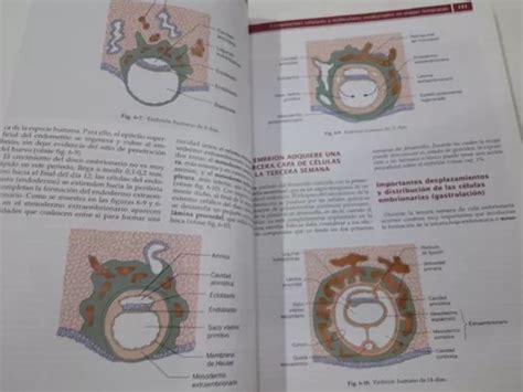 Histolog A Y Embriolog A Del Ser Humano Edici N Eynard En