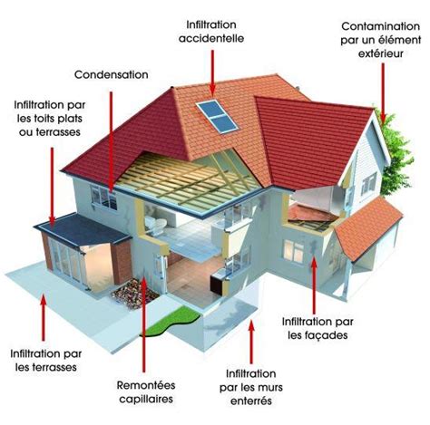 L humidité dans la maison ce qu il faut savoir I Murprotec