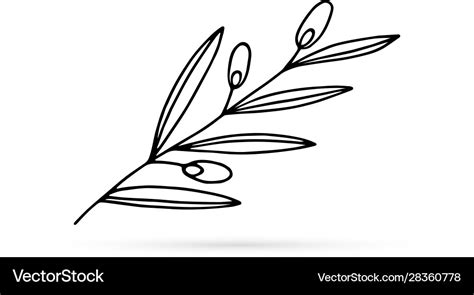 Outline Olive Branch Iconisolated Doodle Vector Image