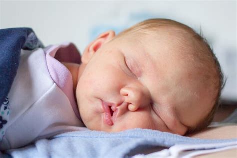 Imágenes De Bebe Durmiendo Boca Abajo Descarga Gratuita En Freepik