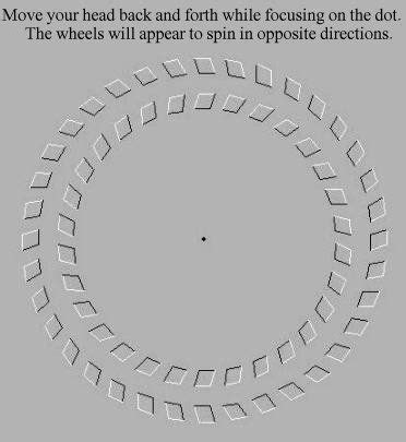 17 Best images about Mind tricks on Pinterest | Crazy facts, Can't ...
