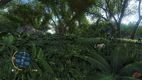 Far Cry 3 - описание, системные требования, оценки, дата выхода