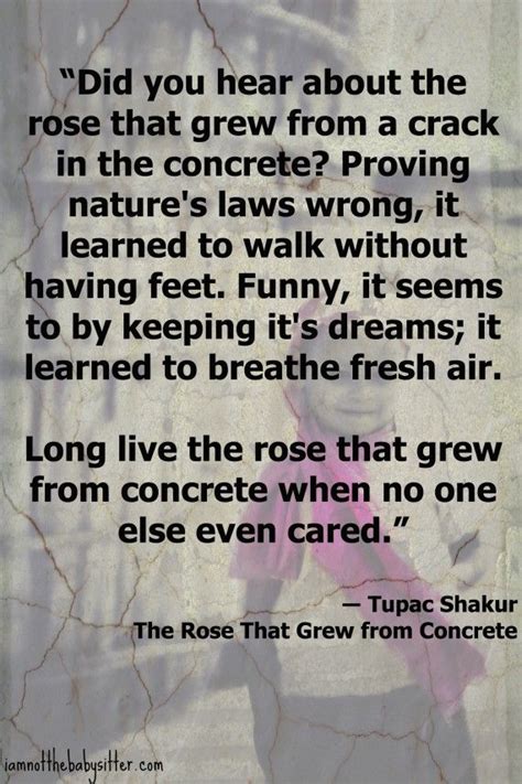 The Rose That Grew From Concrete I Am Not The Babysitter Tupac