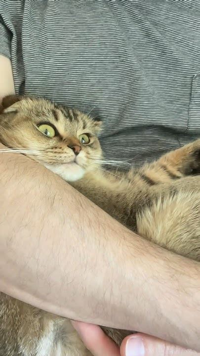 Шаня и Батя ) - YouTube