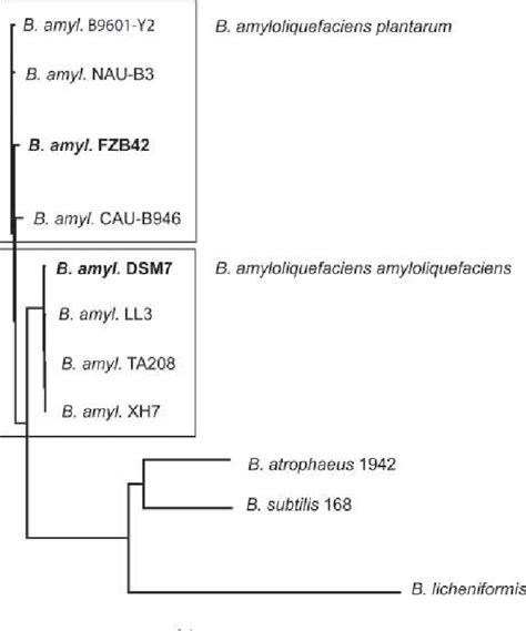 Figure 832 From 83 Comparative Analysis Of The Complete Genome