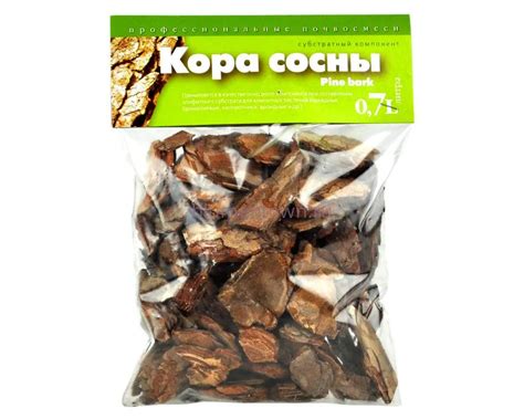 Кора сосны фото - 59 картинок