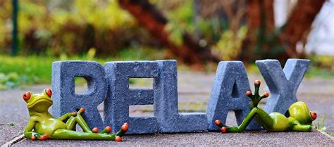 photo relax frogs rest concerns  image  pixabay