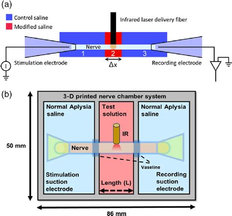 Experimental Setup A Schematic Of Experimental Setup Which Consists