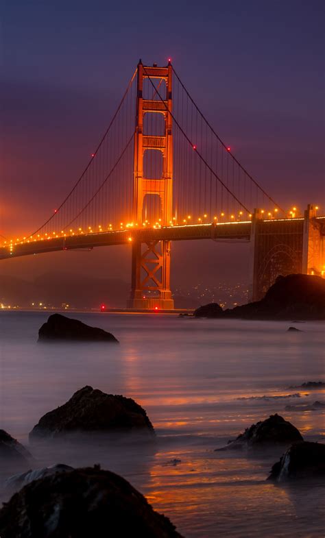What Experts Say About The Future Of Bedpage San Francisco (You Won't Believe It!) Image 7