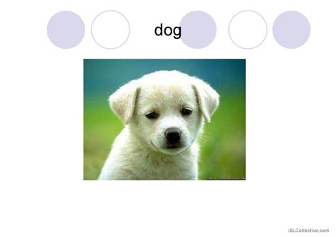 alphabet words general readin english esl powerpoints