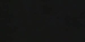 Peter North Isis Nile Tt Boy Isis Nile Porn Videos