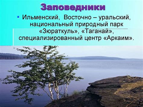 Заповедники челябинской области - презентация онлайн