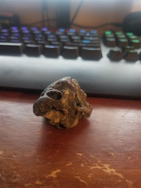 The surprising person found among the Myrtle Beach mugshots today 2