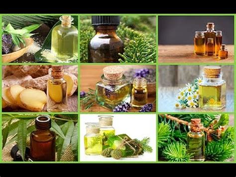 Эфирные масла от кашля - YouTube