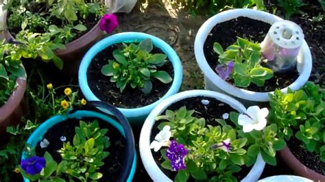 Как с экономить грунт. при посадке больших обьемов кашпо - YouTube