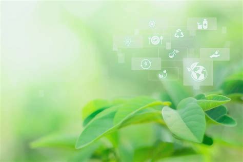 Green Life Capital