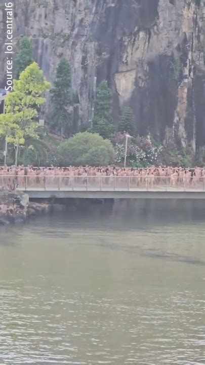Thousands Flock To Story Bridge Nude For Rising Tide Naked Art Installation The Advertiser