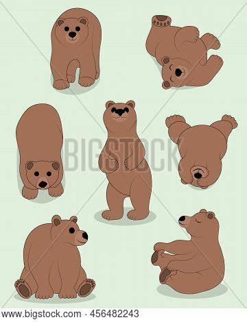 Cute Brown Bear Set Vector Photo Free Trial Bigstock