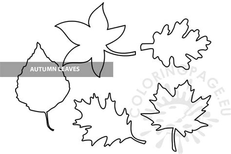 Different Autumn Leaves template | Coloring Page