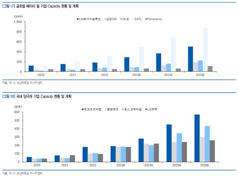 2차전지 셀 소재별 Capacity 현황 및 계획