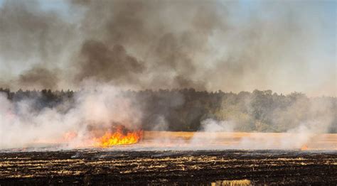 Farm Operation Recovery Effects Of Wildfires On California Ag Agamerica