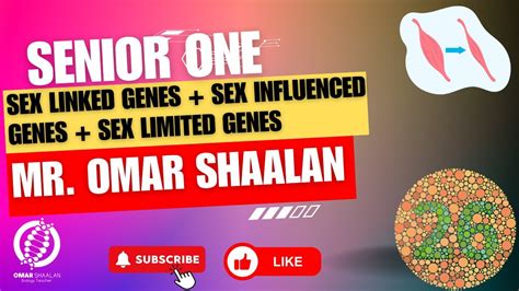 GENETICS SENIOR ONE SEX LINKED GENES SEX INFLUENED GENES SEX LIMITED GENES YouTube