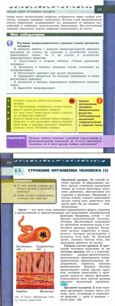 Читать онлайн учебник по биологии за 8 класс Пасечник