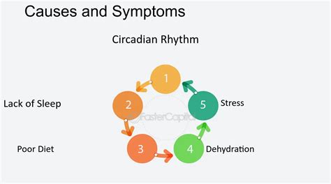 Circadian Rhythm Afternoon Slump Flash Sales Jkuat Ac Ke