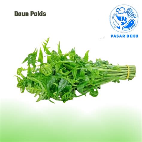 Jual Daun Paku Pakis Segar Per Ikat 150gr Pasar Beku Padang Shopee