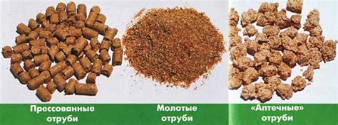 Как правильно принимать отруби для очищения кишечника и какие лучше?