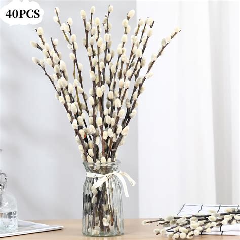 Pcs Natural Preserved Dried Pussy Willow Branches For Vases Stems Real Willows Snow